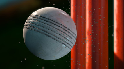 T20 World Cup 2024 Final Match: India vs South Africa